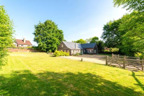 Back Garden