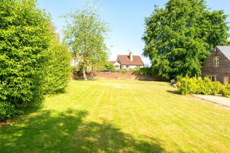 Back Garden