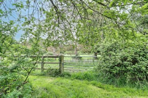gated paddock