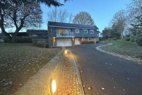 Property Image 54