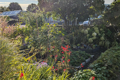 Garden