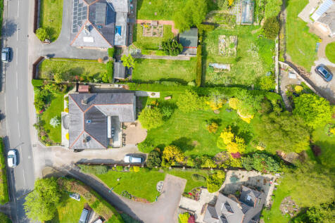 Ariel View
