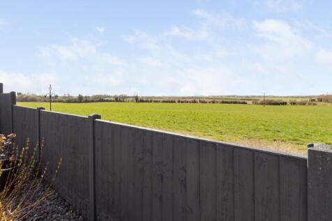 Rear Field Views