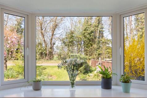 Window