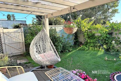 Summer Garden Photo