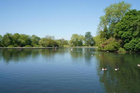 DSC00595.JPG