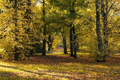 Longford Park (2).jpg