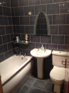IMG_1753.jpeg