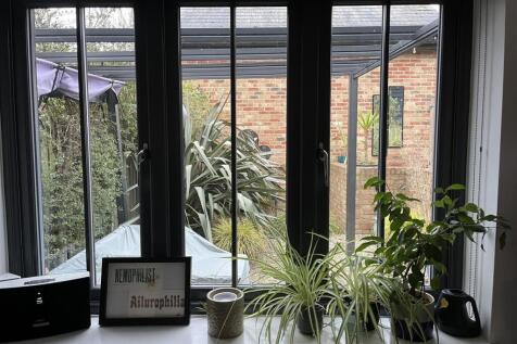 View of Garden