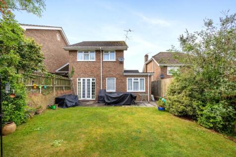 Property Image 14