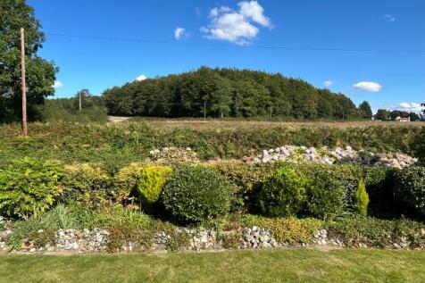 Field View
