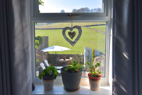 Bedroom 2 Window 