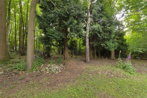 Photo 30