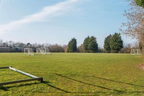 Playing Field.jpg