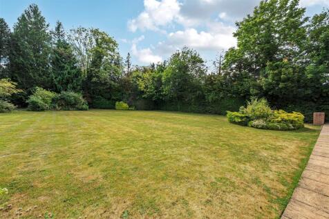 garden.jpg