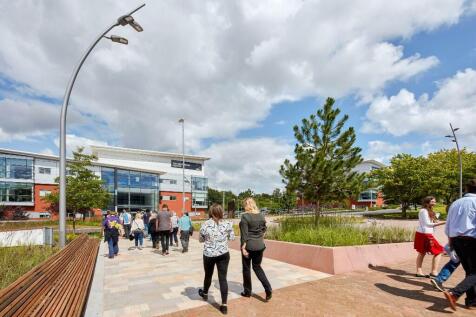 Linear Park