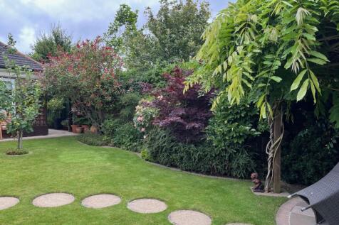 Garden 5