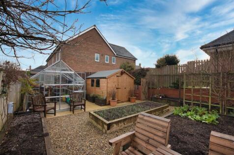 Vegetable Plot