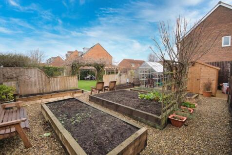 Vegetable Plot