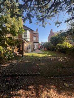 77 Hutton avenue garden 2