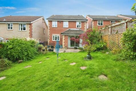 Property Image 11