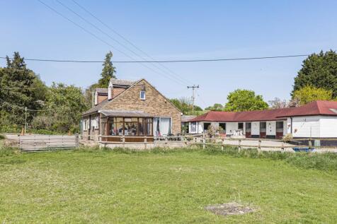 Willow Tree Farm
