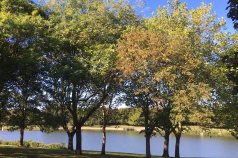 Fairlands Park