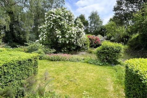 garden.JPG