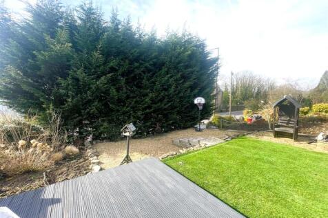 garden.JPG