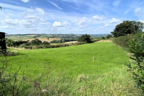 grazing paddock.JPG