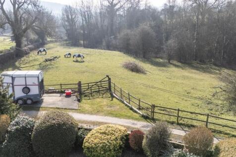 DJI_20250319091523_0078_D.JPG