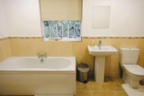 Bathroom.png