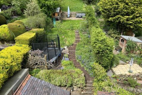rear agarden.JPG