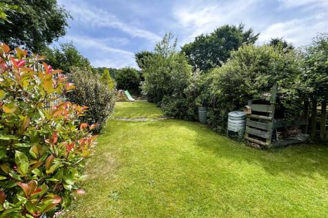garden.JPG