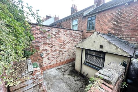 rear yard.JPG