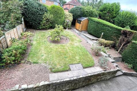 garden.JPG