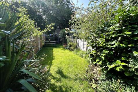 garden.JPG