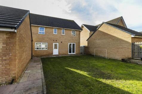 Property Image 41