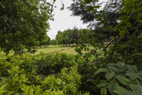 Property Image 55