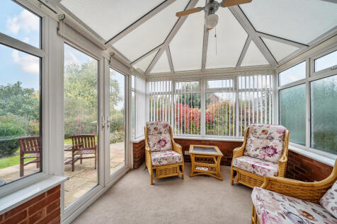 1369546668ef659ab67e5