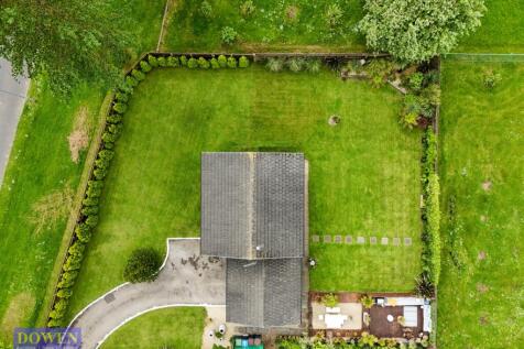 dji_fly_20240524_153438_0196_1716570473461_photo