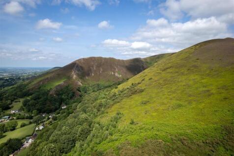 DJI_0381.jpg