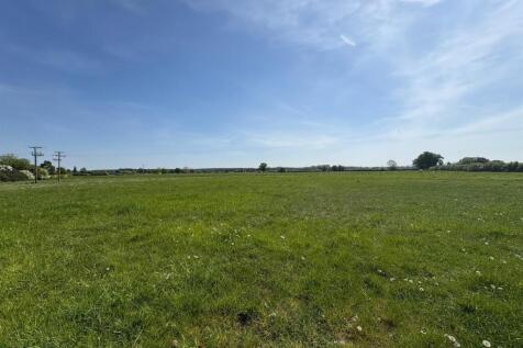 Surrounding fields.jpg