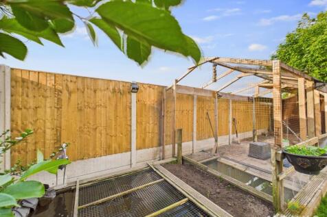 Feature Pond/ Duck Shed