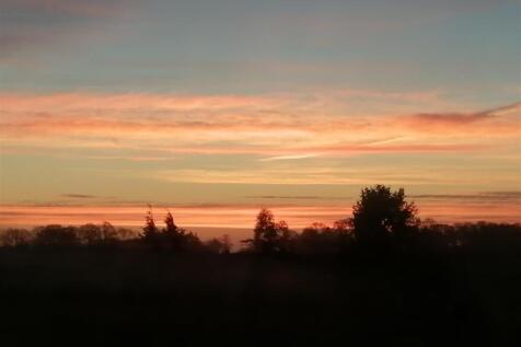 IMG_20201201_074359.jpg