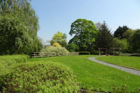 12 may 053.JPG