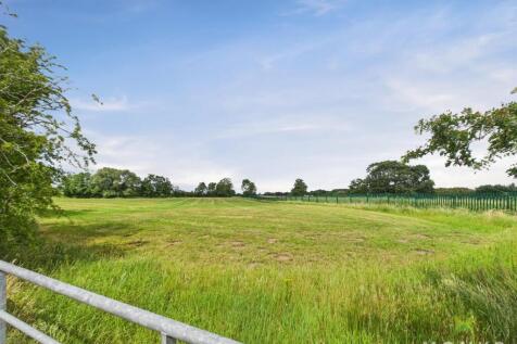 CAM01348G0-PR0706-STILL012.jpg