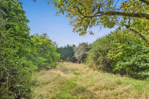 CAM01520G0-PR0249-STILL005.jpg