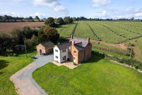 DJI_0027.jpg