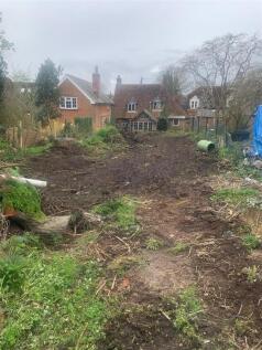 Garden.jpg